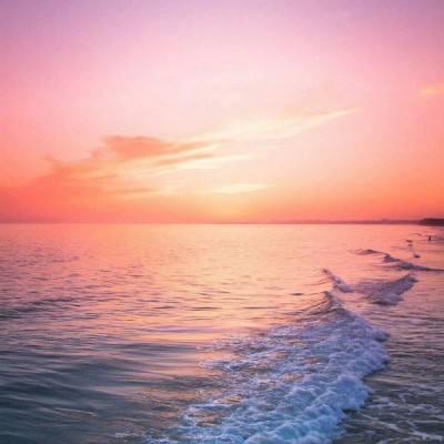 加拿大pc软件平台手机app下载截图