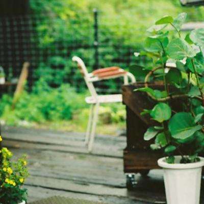 帝一娱乐手机app下载