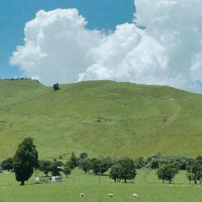 体育皇冠官网下载app