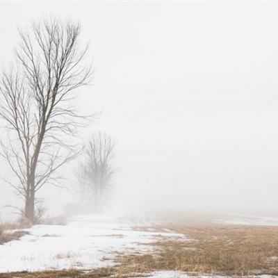 乐鱼体育app下载 - 乐鱼体育最新官方下载