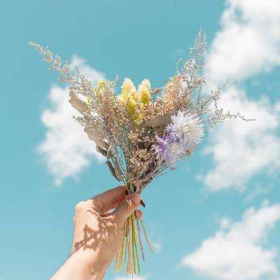 火狐电竞·huohu手机app下载